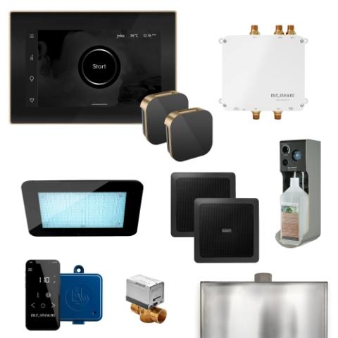 Mr. Steam XDream Linear Steam Shower Control Package Linear Steam Head