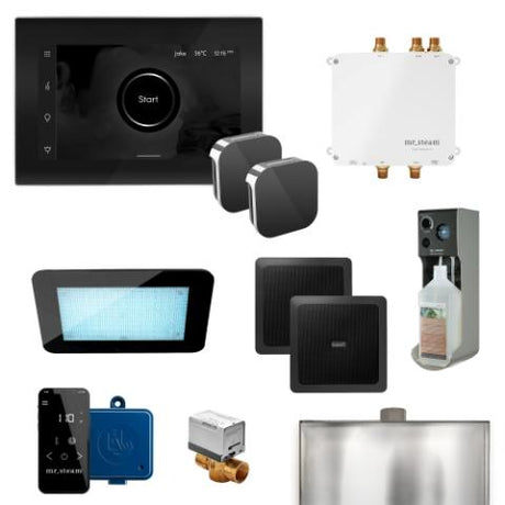 MrSteam Bliss Max Steam Shower Control Package with AromaGlass Steam Head