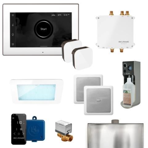 Mr. Steam XDream Linear Steam Shower Control Package Linear Steam Head