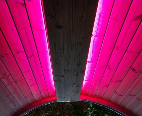 SaunaLife Color LED Lighting for SaunaLife ERGO Series Barrel Sauna - Sweet Life Saunas