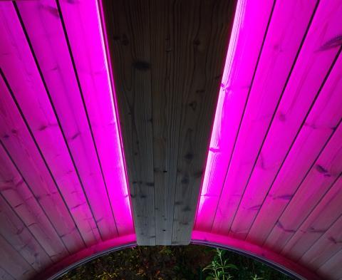 SaunaLife Color LED Lighting for SaunaLife ERGO Series Barrel Sauna - Sweet Life Saunas