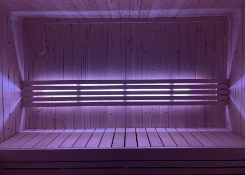SaunaLife Color LED Light System for SaunaLife X6 Sauna - Sweet Life Saunas