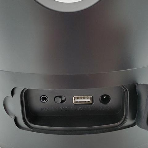 SaunaLife Bluetooth Speaker, Sauna Bucket, with Lights - Sweet Life Saunas