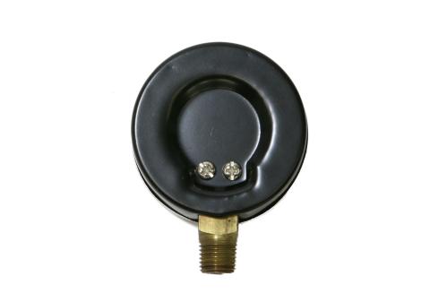 Mr.Steam Gauge, Pressure, 0-30 PSIG, CU Series