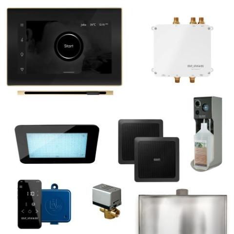MrSteam Bliss Linear Control Package with iSteamX and Linear Steam Head