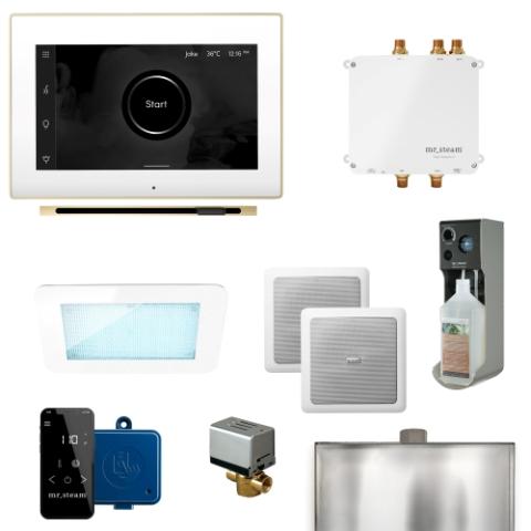 MrSteam Bliss Linear Control Package with iSteamX and Linear Steam Head