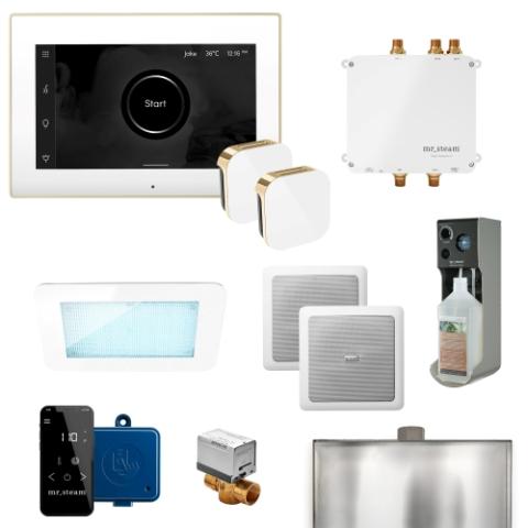 Mr. Steam XDream Linear Steam Shower Control Package Linear Steam Head