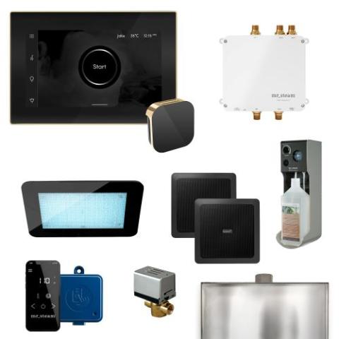 MrSteam Bliss Steam Shower Control Package with AromaGlass Steam Head