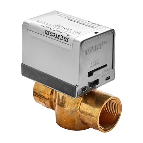 MrSteam CX0360 thru CX1000 Health Club Steam Shower Generator Package