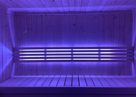 SaunaLife Mood Lighting for Model X6 Sauna - Thumbnail 2