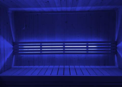 SaunaLife Color LED Light System for SaunaLife X7 Sauna - Thumbnail 5