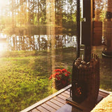 Cozy Heat SW Wood-Burning Sauna Stove, Up to 18kW
